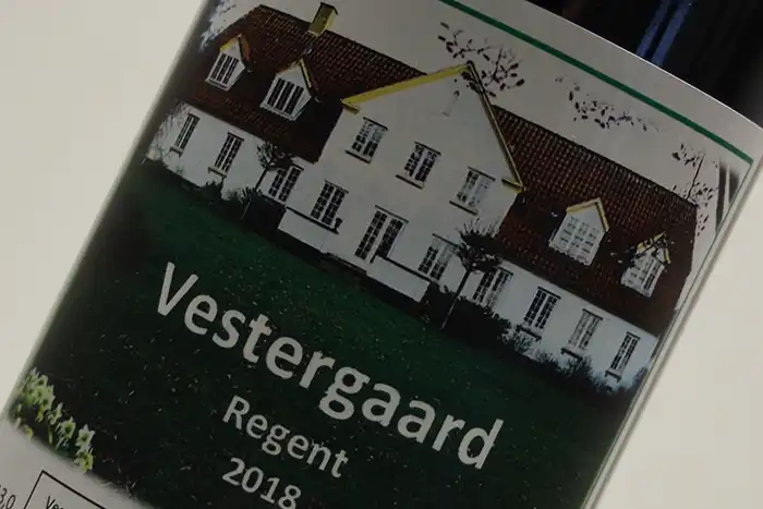 Dansk vin - Regent 2018 fra Vestergaard Vin i Assens på Fyn | vestergaardvin.dk