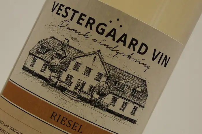 Dansk hvidvin - Riesel 2021 fra Vestergaard Vin i Assens på Fyn | vestergaardvin.dk