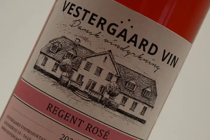 Dansk vin - Regent Rosé 2022 fra Vestergaard Vin i Assens på Fyn | vestergaardvin.dk
